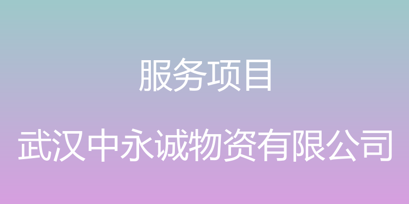 服务项目 - 武汉中永诚物资有限公司